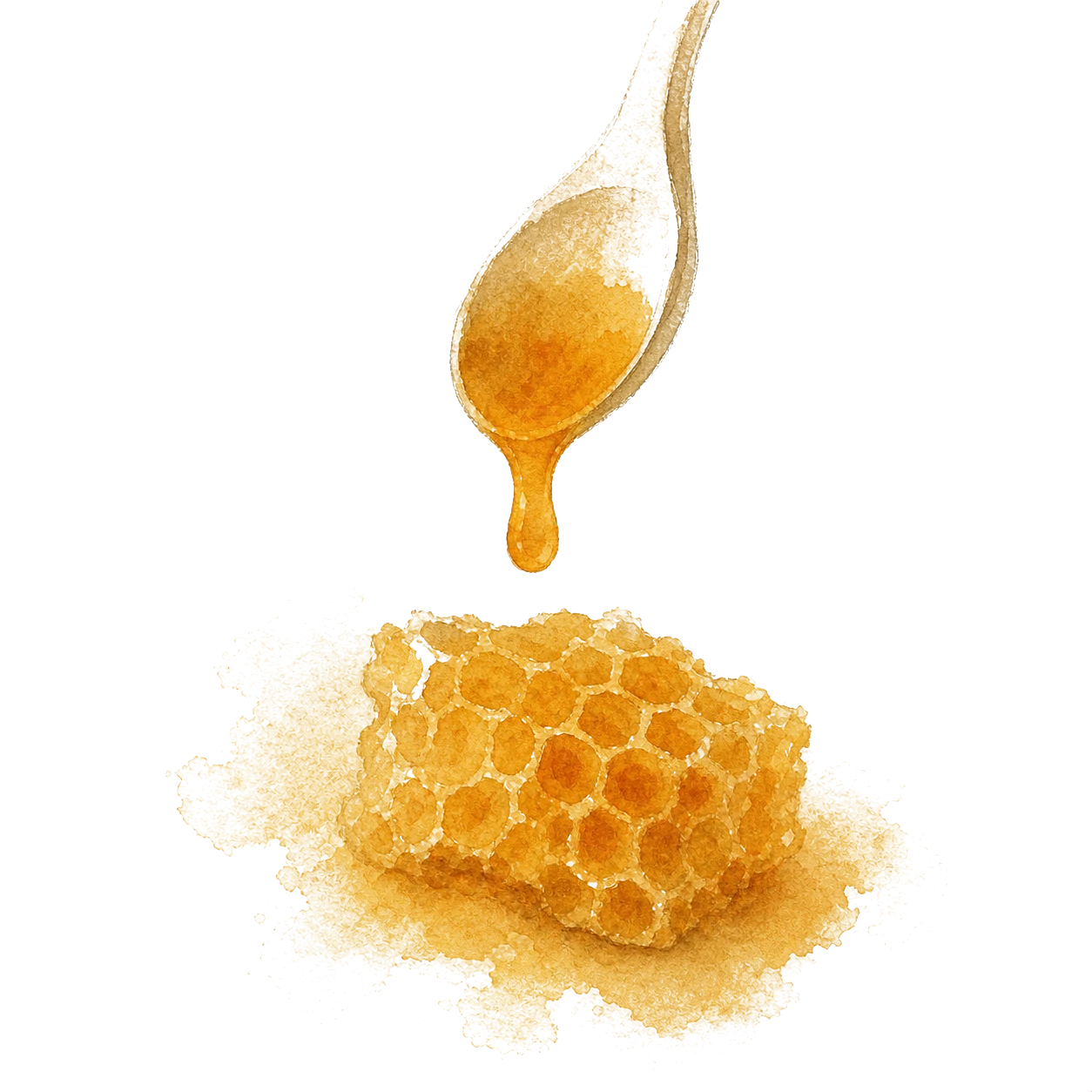 Medena osnova